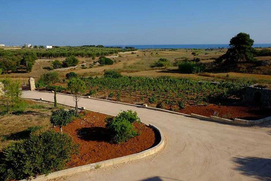Relais Masseria Sant'Antonio 마리나 디 페스콜루스 외부 사진